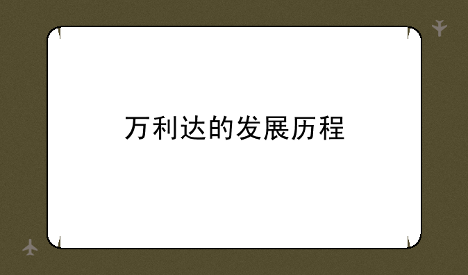 万利达的发展历程