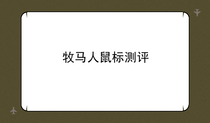 牧马人鼠标测评