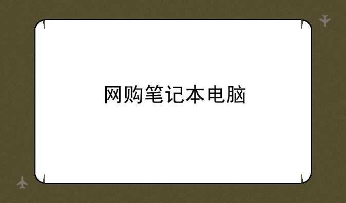 网购笔记本电脑