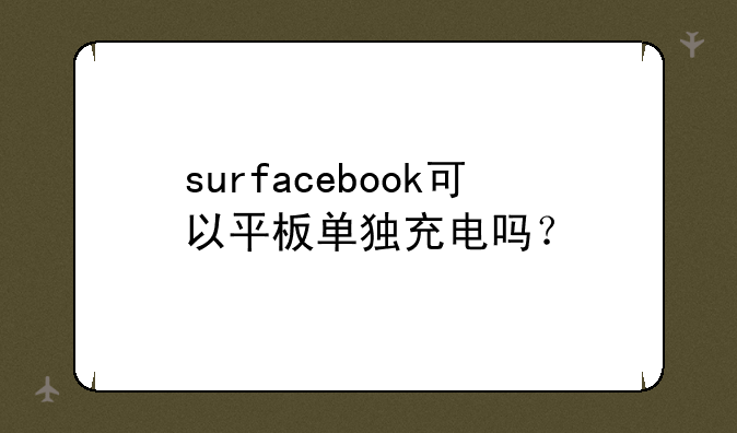 surfacebook可以平板单独充电吗？