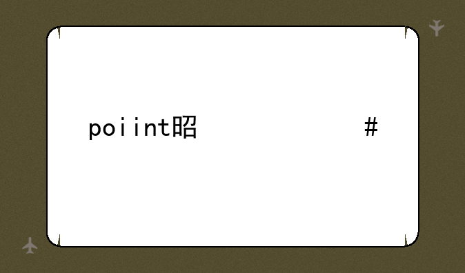 poiint是什么牌手机？