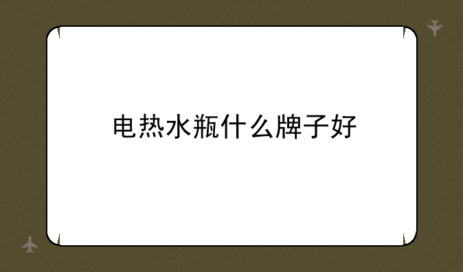 电热水瓶什么牌子好