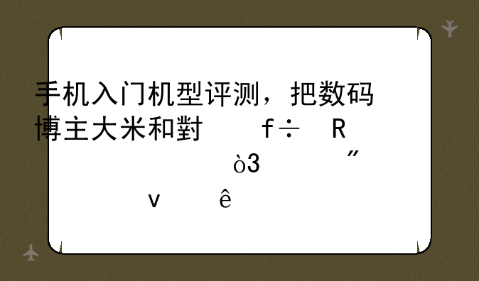 手机入门机型评测，把数码博主大米和小白放一起，差别就出来了