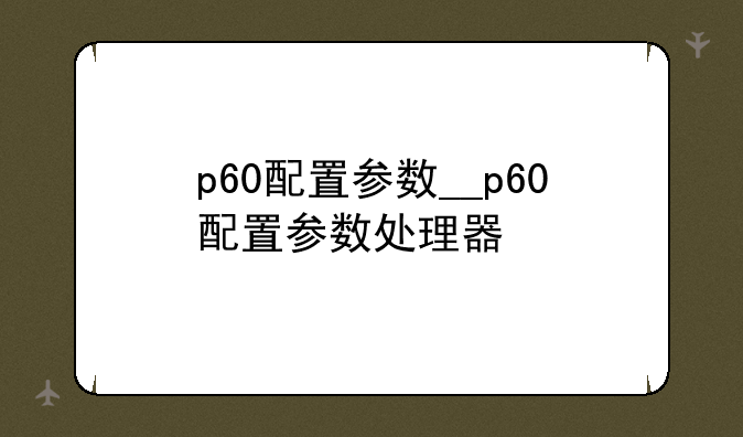 p60配置参数__p60配置参数处理器