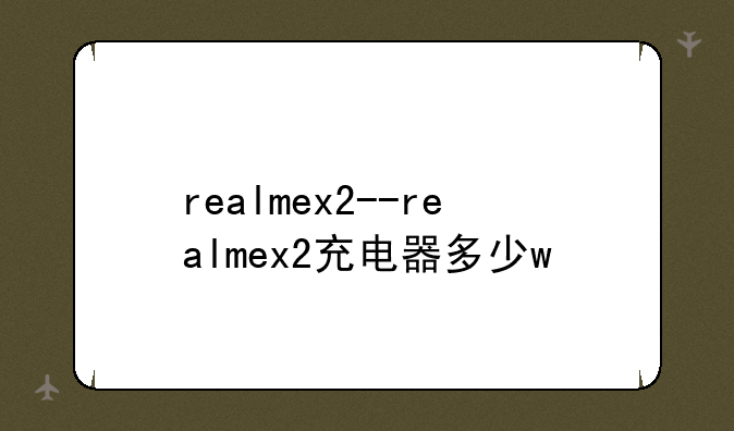 realmex2--realmex2充电器多少w