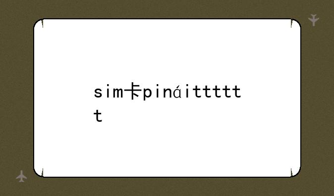 sim卡pin码