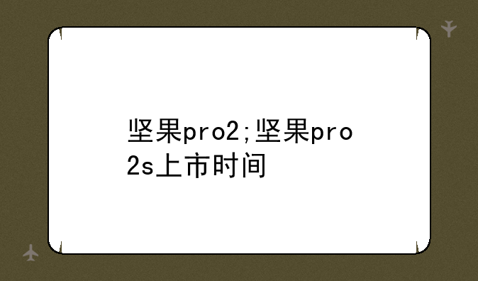坚果pro2;坚果pro2s上市时间