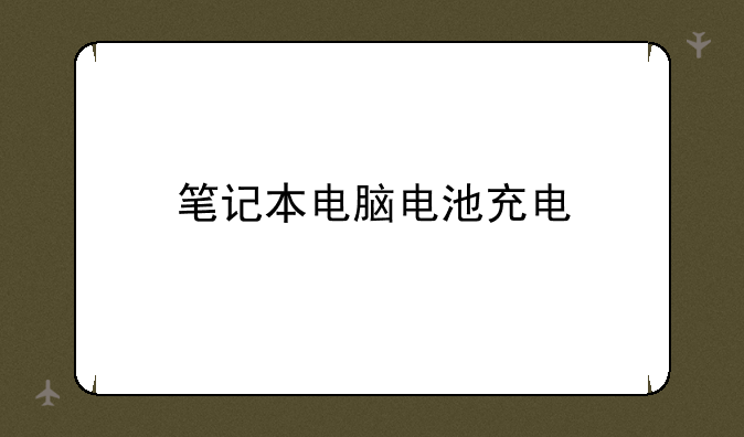 笔记本电脑电池充电