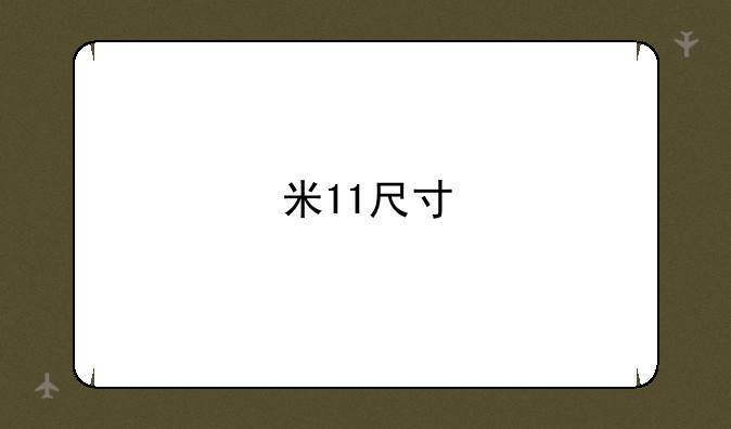 米11尺寸