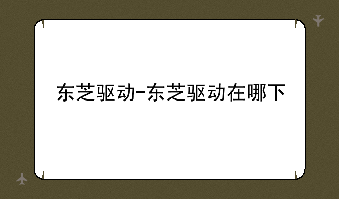 东芝驱动-东芝驱动在哪下