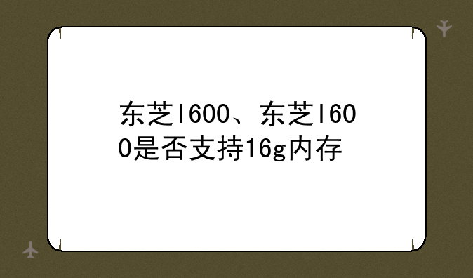 东芝l600、东芝l600是否支持16g内存