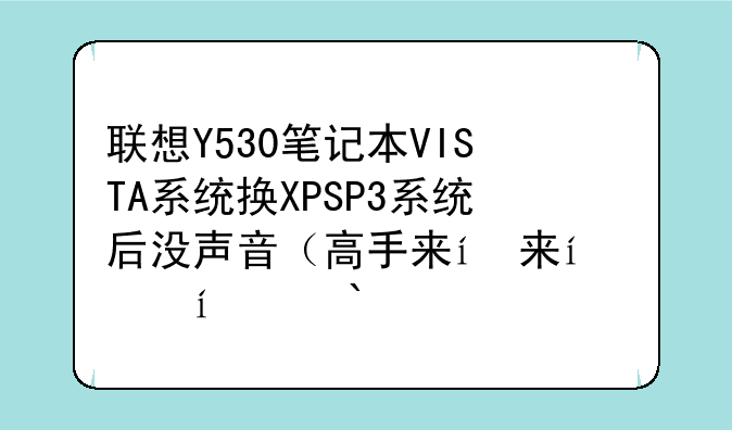 联想Y530笔记本VISTA系统换XPSP3系统后没声音（高手来）