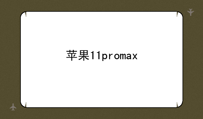 苹果11promax